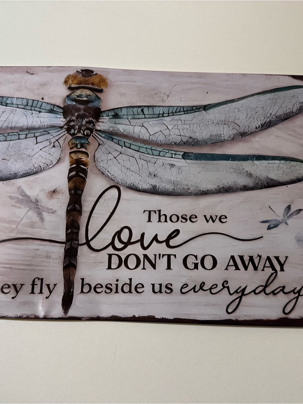 Dragonfly Wall Art - Inspirational Sign